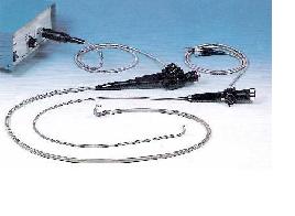 ��������ڿ���