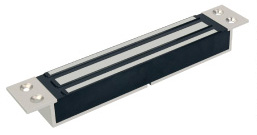 ����ʽ������