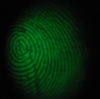 ȫ�Զ�502ָ��Ѭ�Թ�