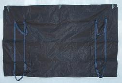 ����ʬ���