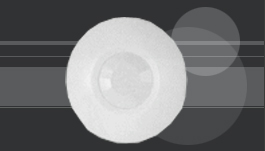 VISONIC DISC����ʽ̽����