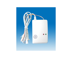 ��ȼ����̽����