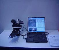 �����������Ӿ���