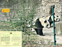 ���˶�Pakton ����Χ��