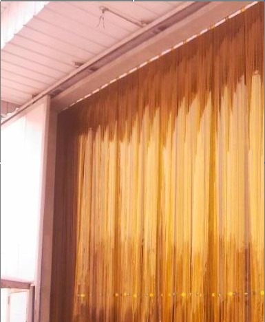 ֱ������������