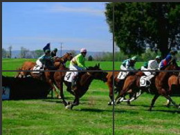 VGA����ָ���