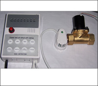 ����ʽȼ��̽����