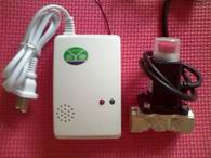 ����ȼ��й©������ ú�������� ��Ȼ��������