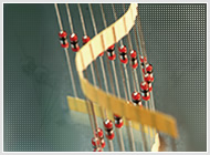 ����ǿЧ�ŵ��,ͻ��������Surge Absorber