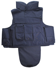 ȫ����������