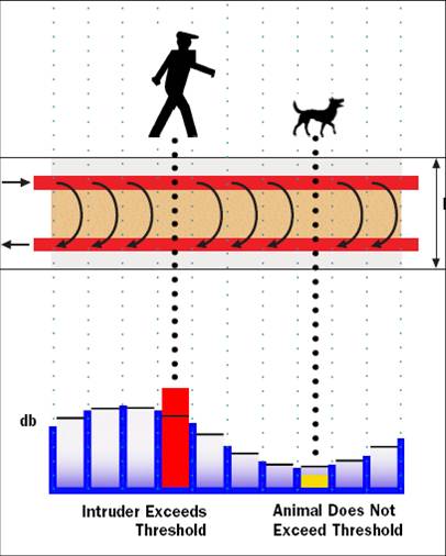 ��ηй©�����ܽ�����̽��ϵͳ