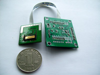 ��������Ƶԭ����Ƥָ��ʶ��ģ��