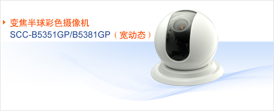SCC-B5351GP/B5381GPɫ佹