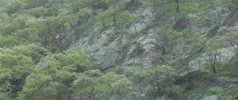 GPS��SNS����������