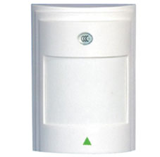 ��Ҷ����̽����