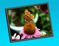 ���۹�ҵҺ����ʾ��