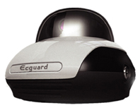 ����CDMA���߼����