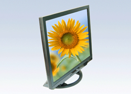 20��Һ��������������һ��