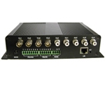 ������Ƶ������