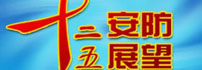 安防十二五 安防十二五