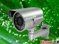 ������KV-C3055T-A��50�׺���ɵ�������ҹ�������