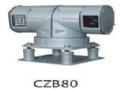 CZBϵ�г��ظ�����