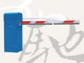 �ֳ۵�բ