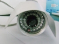��Ӧ����Τ��VT-8117PS����30�׼�������