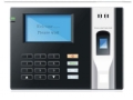 ָ���Ž����ڻ�