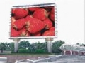 LED��ʾ��ȫ��