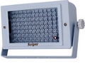 80�װ׹��
