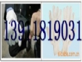 ����������13911819031�����и�����/��������/���������ס�