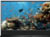 55��DID��խ�ߣ�5.3mm��ƴ��