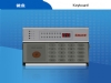 SK-239K-LED ��ʾ����