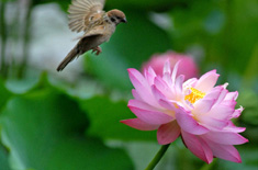 ȸ�뻨-�����й����� ����